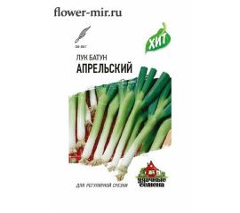 Лук