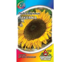 Подсолнечник