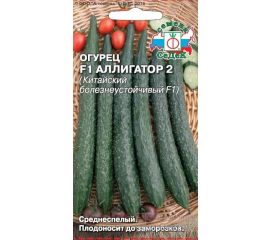 Огурец