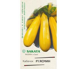 Кабачок