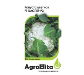 Капуста