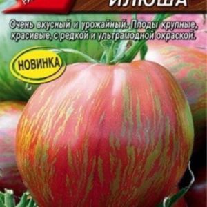 Томат Богатырь Илюша 20шт Аэлита