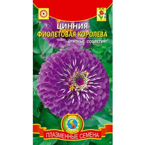 Цинния Фиолетовая королева 0,3г Агроника