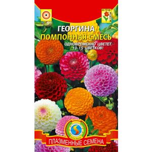 Георгина Помпонная смесь12шт Агроника
