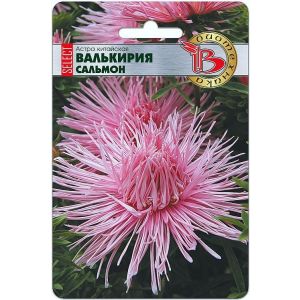 Астра Валькирия Сальмон 30шт Боитехника