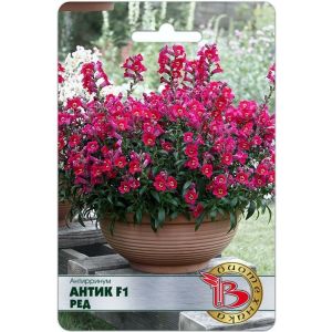 Львиный зев Антик Ред F1 Антирринум 20шт Биотехника