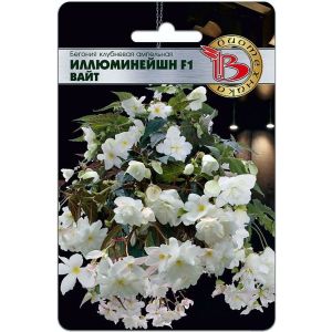 Бегония Иллюминейшен Вайт ампельная 8шт Биотехника