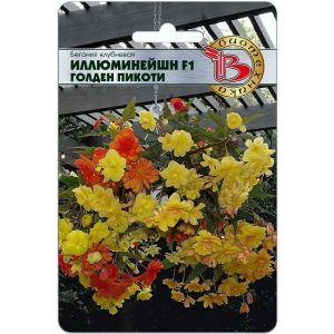 Бегония Иллюминейшен Голден Пикоти 8шт ампельна Биотехника