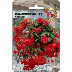 Бегония Иллюминейшен Скарлет 8шт Биотехника