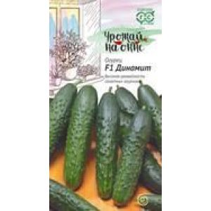 Огурец Динамит F1 10 шт. серия Урожай на окне Гавриш