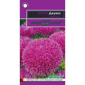 Астра Джувел Пурпурит  0,05г игольчато-коготковая Гавриш