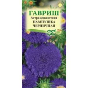 Астра Пампушка черничная 0,3г помпонная Гавриш