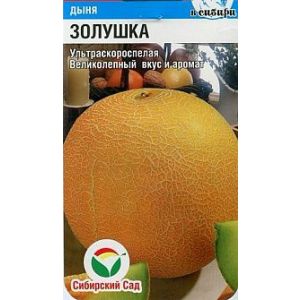 Дыня Золушка 7шт Сиб Сад