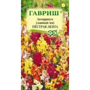 Львиный зев Пёстрая Лента 0,05г Гавриш Антирринум