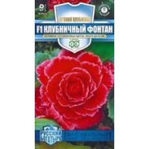 Бегония Клубничный фонтан 4шт Гавриш