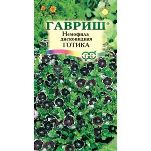 Немофила Готика дисковидная 0,2г Гавриш