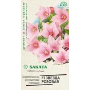 Ширококолокольчик Звезда Розовая Платикодон 4шт Гавриш