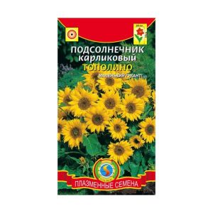 Подсолнечник Тополино карликовый 8шт Агроника