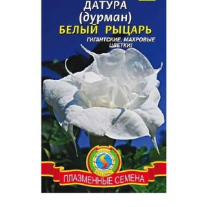 Датура (Дурман) Белый рыцарь 3шт Агроника