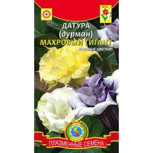 Датура (Дурман) Махровый гигант 3шт Агроника