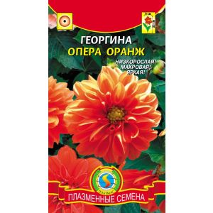 Георгина Опера Оранж 10шт Агроника