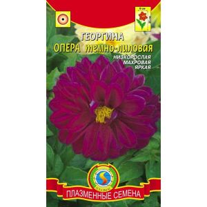 Георгина Опера Тёмно-лиловый 10шт Агроника