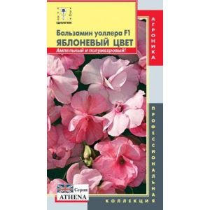 Бальзамин Яблоневый цвет Уоллера F1 (серия Athena) 5шт Агрроника