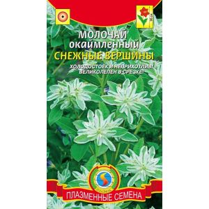 Молочай Снежные вершины окаймленный 0,3г Агроника