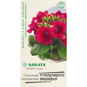 Глоксиния Мультибеллс Вишневая 4шт Гавриш