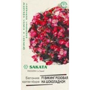 Бегония Викинг Розовая на Шоколадном кораллово-гибридная 4шт Гавриш