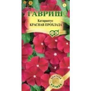 Катарантус Красная прохлада 7шт Гавриш