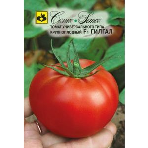 Томат Гилгал F1 5шт Семко