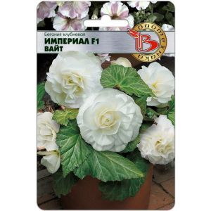 Бегония Империал Вайт F1 10шт Биотехника