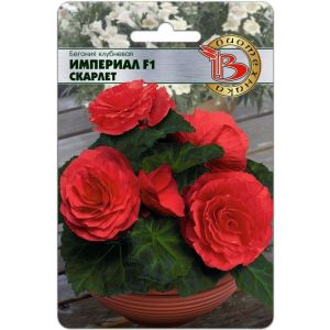 Бегония Империал Скарлет F1 10шт Биотехника