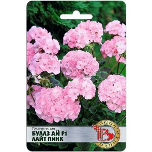 Пеларгония Буллз Ай F1 Лайт Пинк 5шт Биотехника