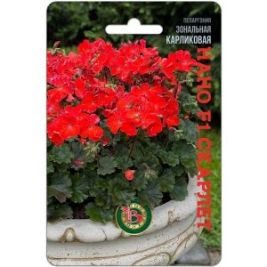 Пеларгония Нано F1 Скарлет карликовая 5шт Биотехника