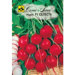 Редис Селеста F1 1г Семко