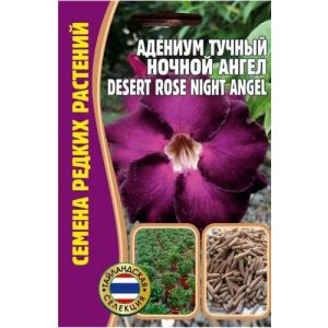 Адениум тучный Ночной Ангел 3шт Ред.Сем