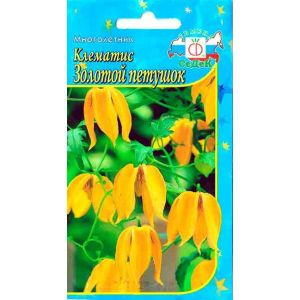 Клематис Золотой Петушок  (тангусский) 0,1г Седек