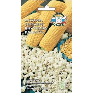 Кукуруза Внучкина радость (Попкорн) 5г Седек 32р
