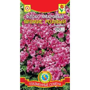 Флокс Промис Розовый махровый 5шт Аргоника