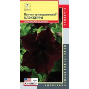 Петуния Блэкберри крупноцветковая F1 серия Sophistica 5 драже Агроника