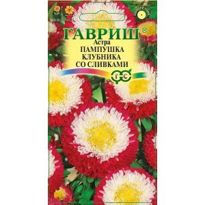 Астра Пампушка клубника со сливками 0,3 г помпонная  Гавриш