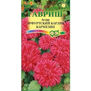 Астра Эрфуртский карлик Кармезин 0,3г красный Гавриш