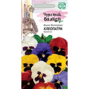 Виола Клеопатра, Виттрока смесь 0,1 г Гавриш