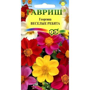 Георгина Весёлые ребята 0,3 г Гавриш