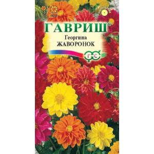 Георгина Жаворонок смесь 0,3г Гавриш