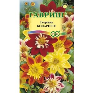 Георгина Коларетте  0,2г Гавриш