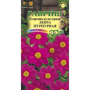 Георгина Лента пурпурная 0,2 г Гавриш