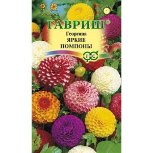 Георгина Яркие помпоны 0,2 г Гавриш